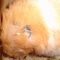close-up