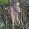 We are nature