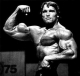 arnold-flexing.jpg