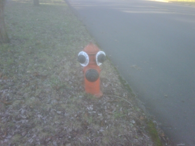 IMG00104-20110102-1435.jpg