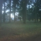 IMG00107-20110102-1512.jpg