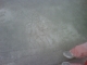 IMG00092-20110102-0941.jpg