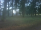 IMG00107-20110102-1512.jpg