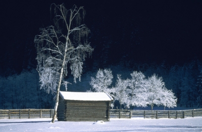Silent Shack