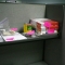 CIMG0219.JPG