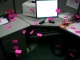 CIMG0215.JPG