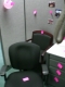 CIMG0217.JPG