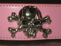 pink-pirate.gif pink-pirate.gif