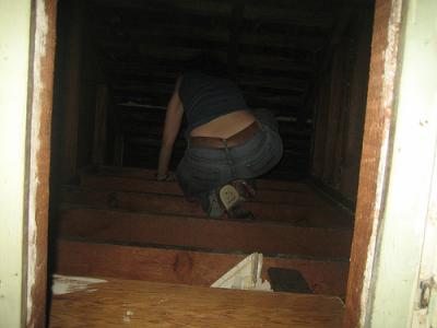 in the walls! in the walls!