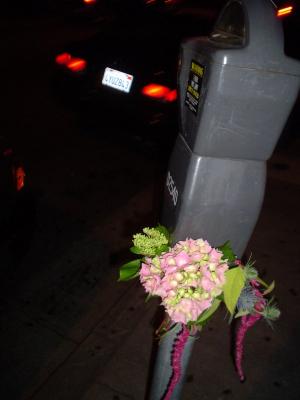 DSC01268.JPG
