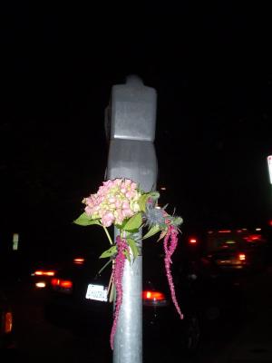 DSC01269.JPG
