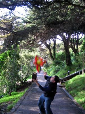 when parrots attack when parrots attack