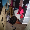 DSC01316.JPG