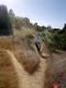 DSC01354.JPG