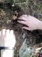 DSC01355.JPG