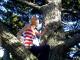 DSC01359.JPG