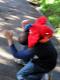 when parrots attack 3