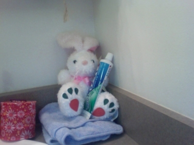 Toothpaste holder Toothpaste holder