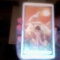 The Sun