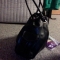 That fucking black bag i keep shit in