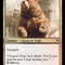 Wildbear.jpg