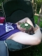 Cucumber Spa