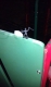 Ether he is pulling out excalaber