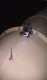 One Man. One battering ram