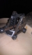 This is such a cool battering ram