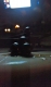 Cannon Balls