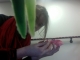 Lets just say, my first attempts at putting up balloons failed