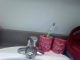 Toothbrush holder