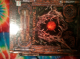 Including a few Dnd books