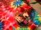Fairies in a bowl