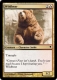 Wildbear.jpg