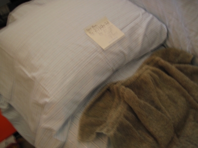 Math on the pillow