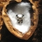 Little_Panda_by_Emo_Hellion.jpg