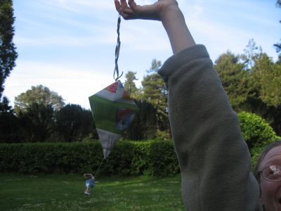 Trying to catch the wind
