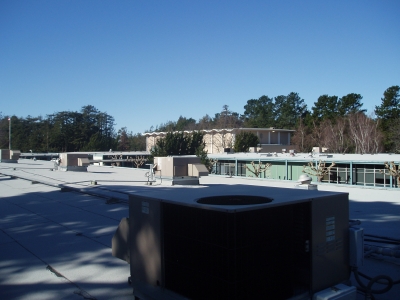 I could so live here, and feed of the wasteful students I could so live here, and feed of the wasteful students