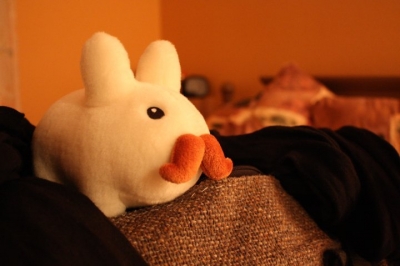 Mr Scuffles, my elite labbit-at-arms
