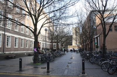 my city, my university