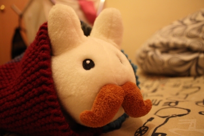 cozy, ready for the chill