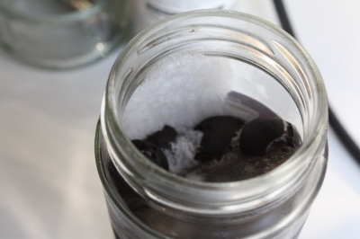olives on ice