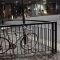 peugeot bicycle.jpg
