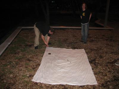 Laid out for creation