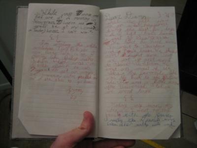 journal 004.jpg