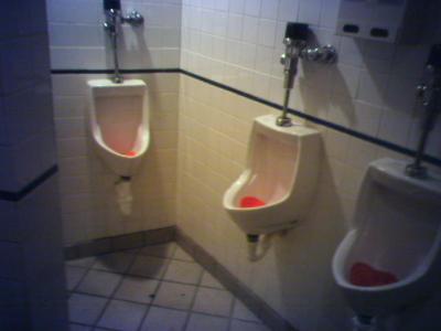 Photo2.jpg