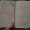 journal 004.jpg