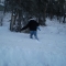 Knee-deep snow....>.