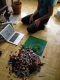 Pile of legos = potential